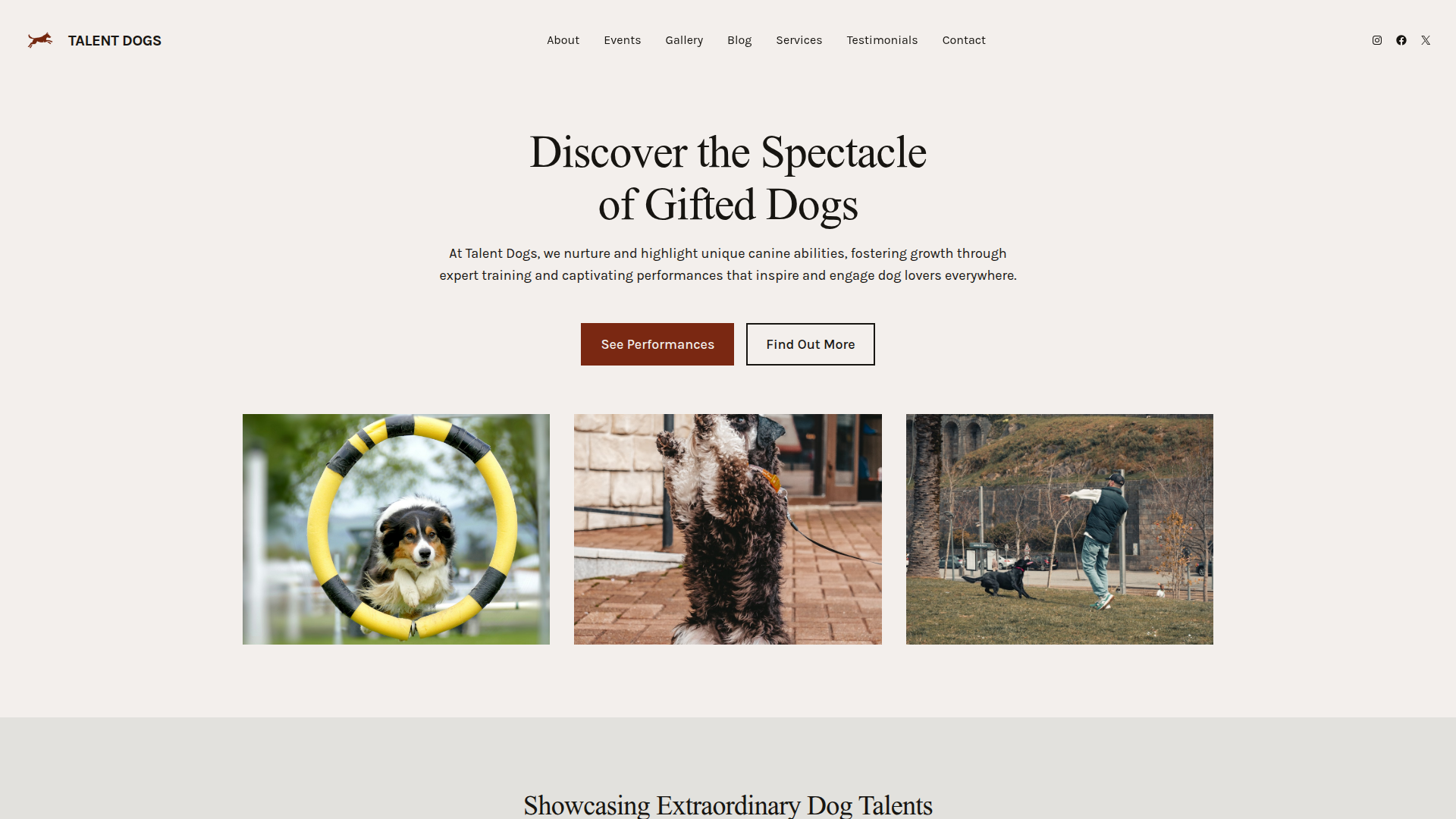 Talent Dogs - My WordPress Blog Screenshot